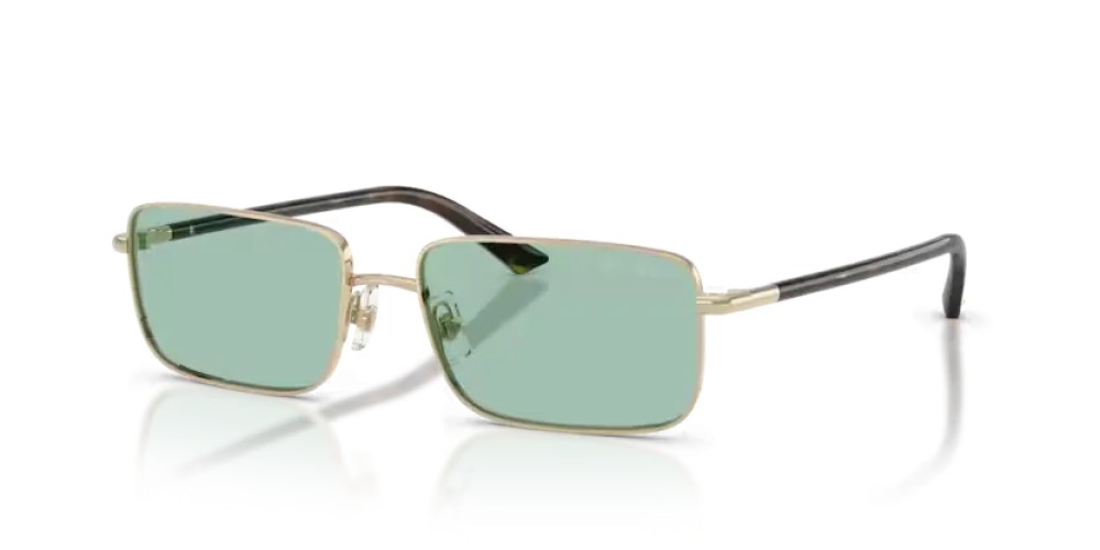 Jimmy Choo JC4027 - 3006/2 - 55 Sonnenbrillen Rechteck