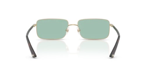 Jimmy Choo JC4027 - 3006/2 - 55 Sonnenbrillen Rechteck