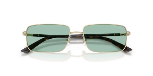 Jimmy Choo JC4027 - 3006/2 - 55 Sonnenbrillen Rechteck