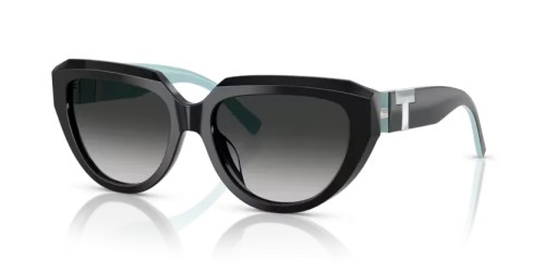 TIFFANY & CO. TF4238U - 84653C - 55 Sonnenbrillen Schwarz