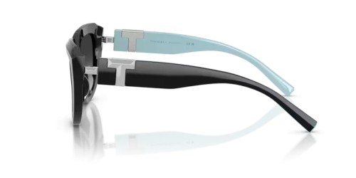TIFFANY & CO. TF4238U - 84653C - 55 Sonnenbrillen Schwarz