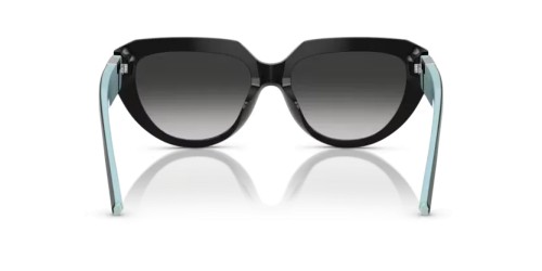 TIFFANY & CO. TF4238U - 84653C - 55 Sonnenbrillen Schwarz