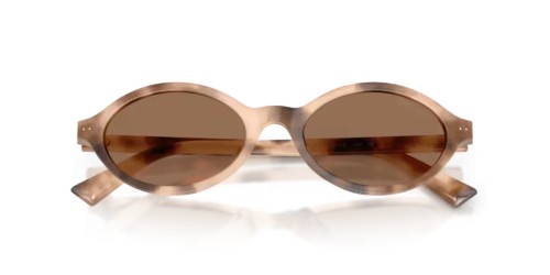 Jimmy Choo JC5068U - 509773 - 51 Sonnenbrillen Oval