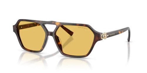 TIFFANY & CO. - Sonnenbrillen - TF4264U - 801585 - 58