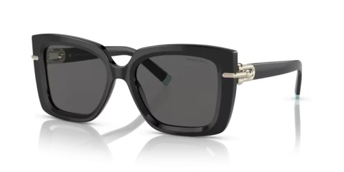 TIFFANY & CO. - Sonnenbrillen - TF4199 - 8001S4 - 53