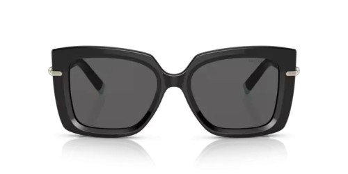 TIFFANY & CO. TF4199 - 8001S4 - 53 Sonnenbrillen Schwarz Schmetterling