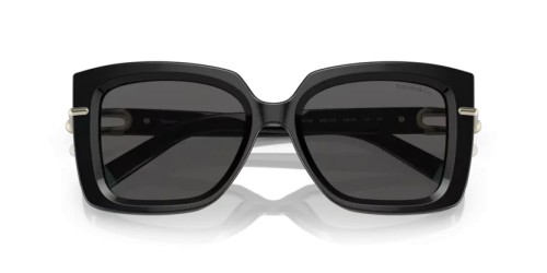 TIFFANY & CO. TF4199 - 8001S4 - 53 Sonnenbrillen Schwarz Schmetterling