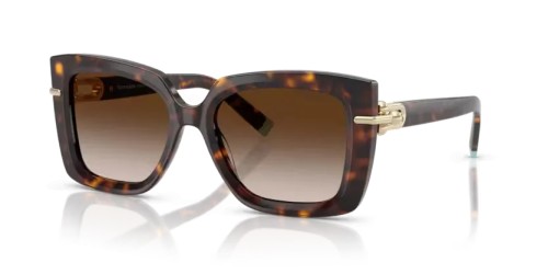 TIFFANY & CO. - Sonnenbrillen - TF4199 - 80153B - 53
