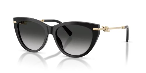 TIFFANY & CO. - Sonnenbrillen - TF4253 - 80013C - 55