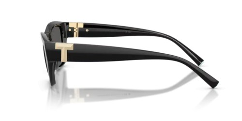 TIFFANY & CO. TF4255U - 8001S4 - 56 Sonnenbrillen Schwarz Rechteck
