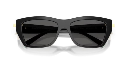 TIFFANY & CO. TF4255U - 8001S4 - 56 Sonnenbrillen Schwarz Rechteck