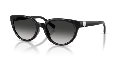 TIFFANY & CO. - Sonnenbrillen - TF4256D - 80013C - 55
