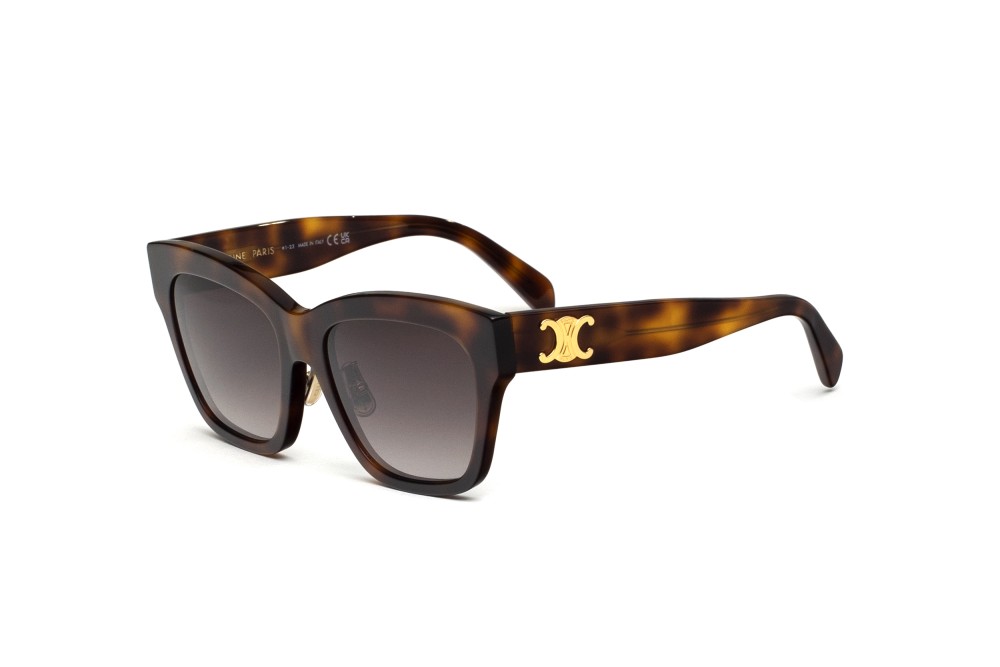 Celine CL40253F - 53K - 55 Sonnenbrillen Eckig