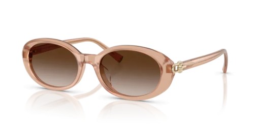 TIFFANY & CO. TF4242D - 82683B - 54 Sonnenbrillen Oval