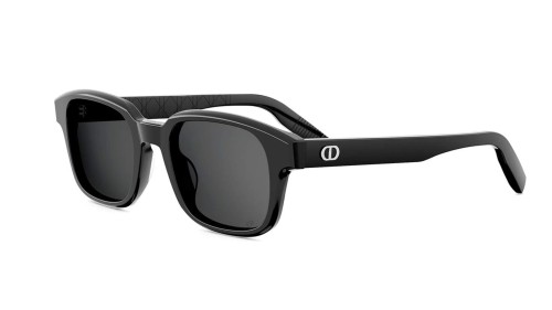 Dior - Sonnenbrillen - CD ICON S4F - 10A0 - 53