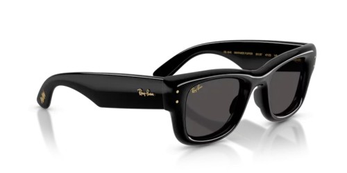 Ray-Ban RB4940 - 601/87 - 47 Sonnenbrillen Schwarz Eckig