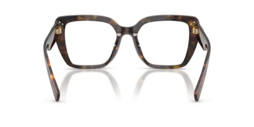 DOLCE & GABBANA DG3441 - 502 - 53 Brillenfassungen Havanna Eckig