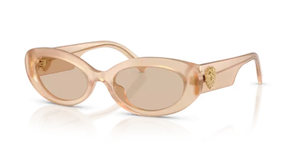 DOLCE & GABBANA DG4537 - 308993 - 53 Sonnenbrillen Oval