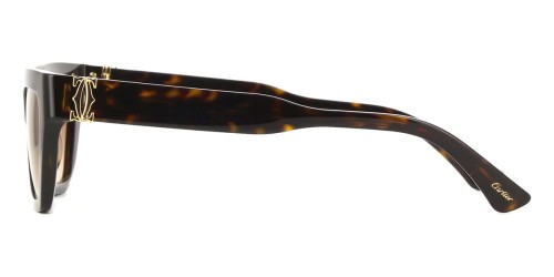 Cartier CT0437S - 002 - 53 Sonnenbrillen Cat Eye