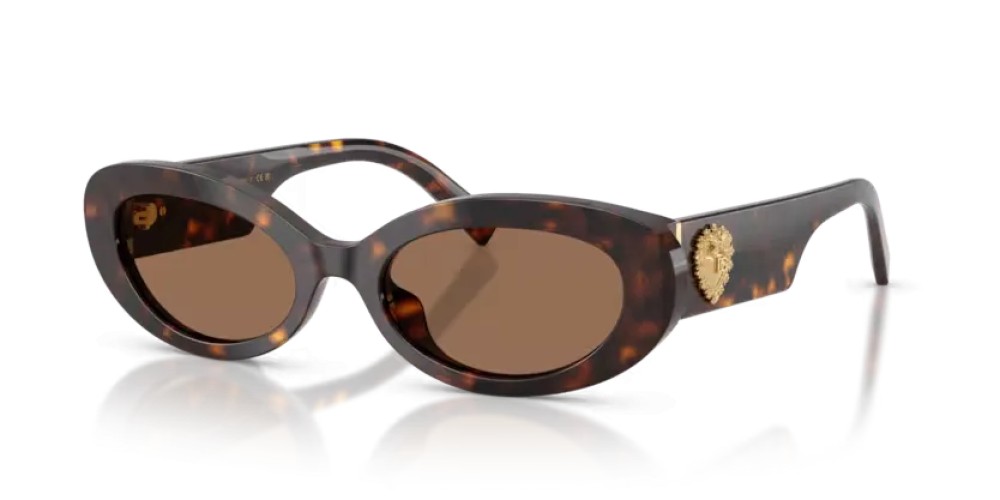 DOLCE & GABBANA DG4537 - 502/73 - 53 Sonnenbrillen Havanna Oval