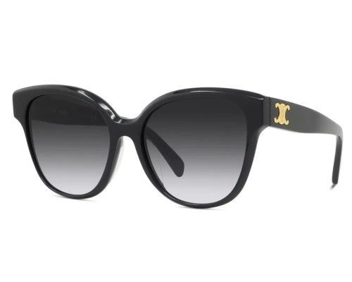Celine CL40204F - 01W - 58 Sonnenbrillen Schwarz Kissenform (Abgerundet)