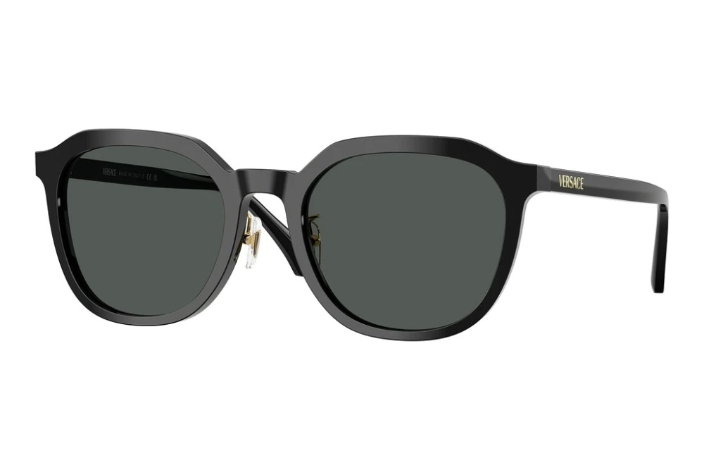 VERSACE VE4493-D - GB1/87 - 55 Sonnenbrillen Schwarz Kissenform (Abgerundet)
