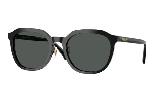 VERSACE VE4493-D - GB1/87 - 55 Sonnenbrillen Schwarz Kissenform (Abgerundet)