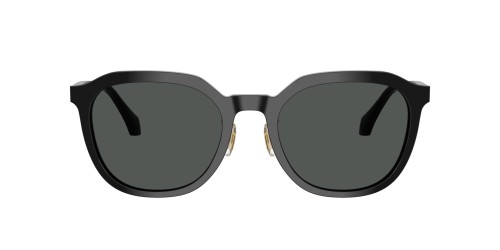 VERSACE VE4493-D - GB1/87 - 55 Sonnenbrillen Schwarz Kissenform (Abgerundet)