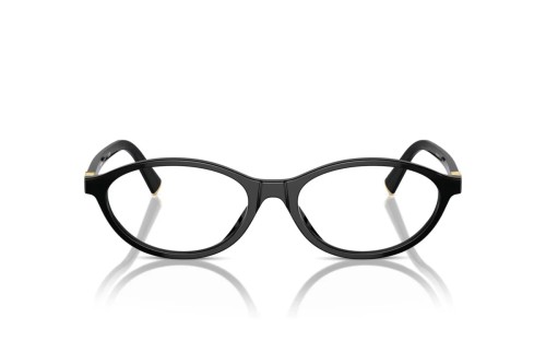 MIU MIU MU 09XV - ​16K1O1 - ​53 Brillenfassungen Schwarz Oval